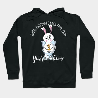 Where Chocolate Eggs Come From Easter Potty Poop Hoodie